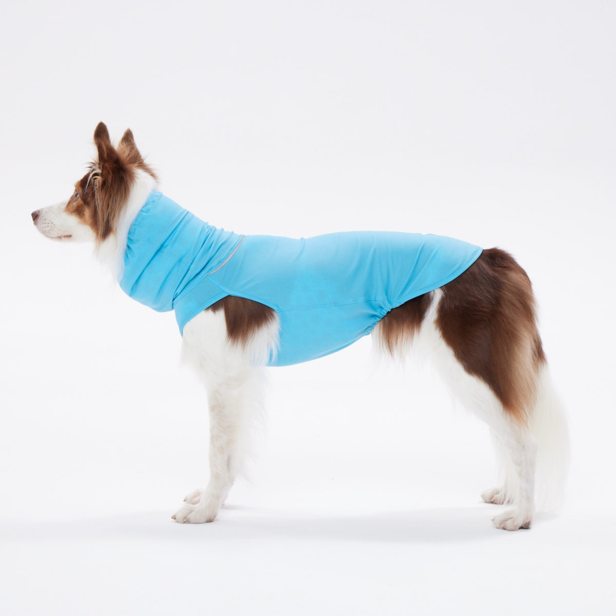 【TAILHIGH テールハイ】ダブルクーリングガード Go2 Cooling Guard Top M,MLサイズ