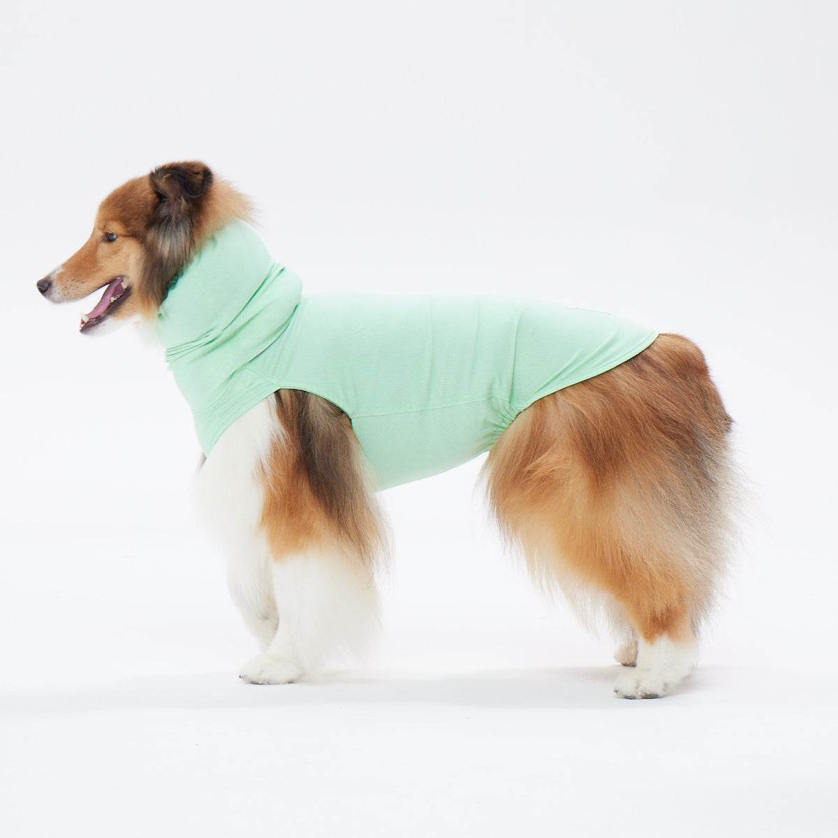 【TAILHIGH テールハイ】ダブルクーリングガード Go2 Cooling Guard Top M,MLサイズ