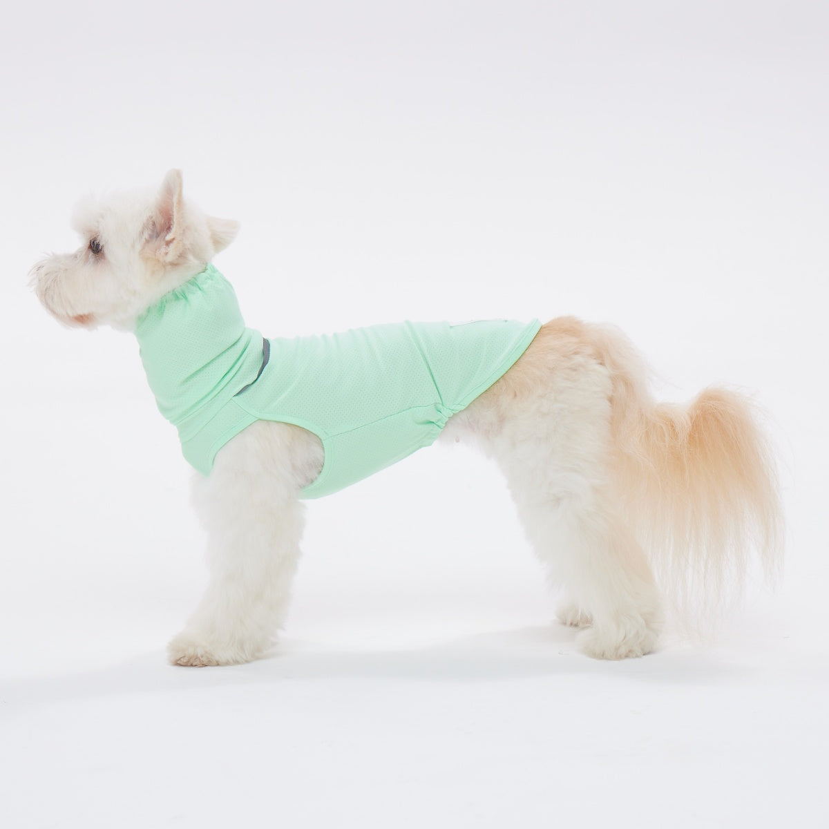 【TAILHIGH テールハイ】ダブルクーリングガード Go2 Cooling Guard Top XXS,XSサイズ