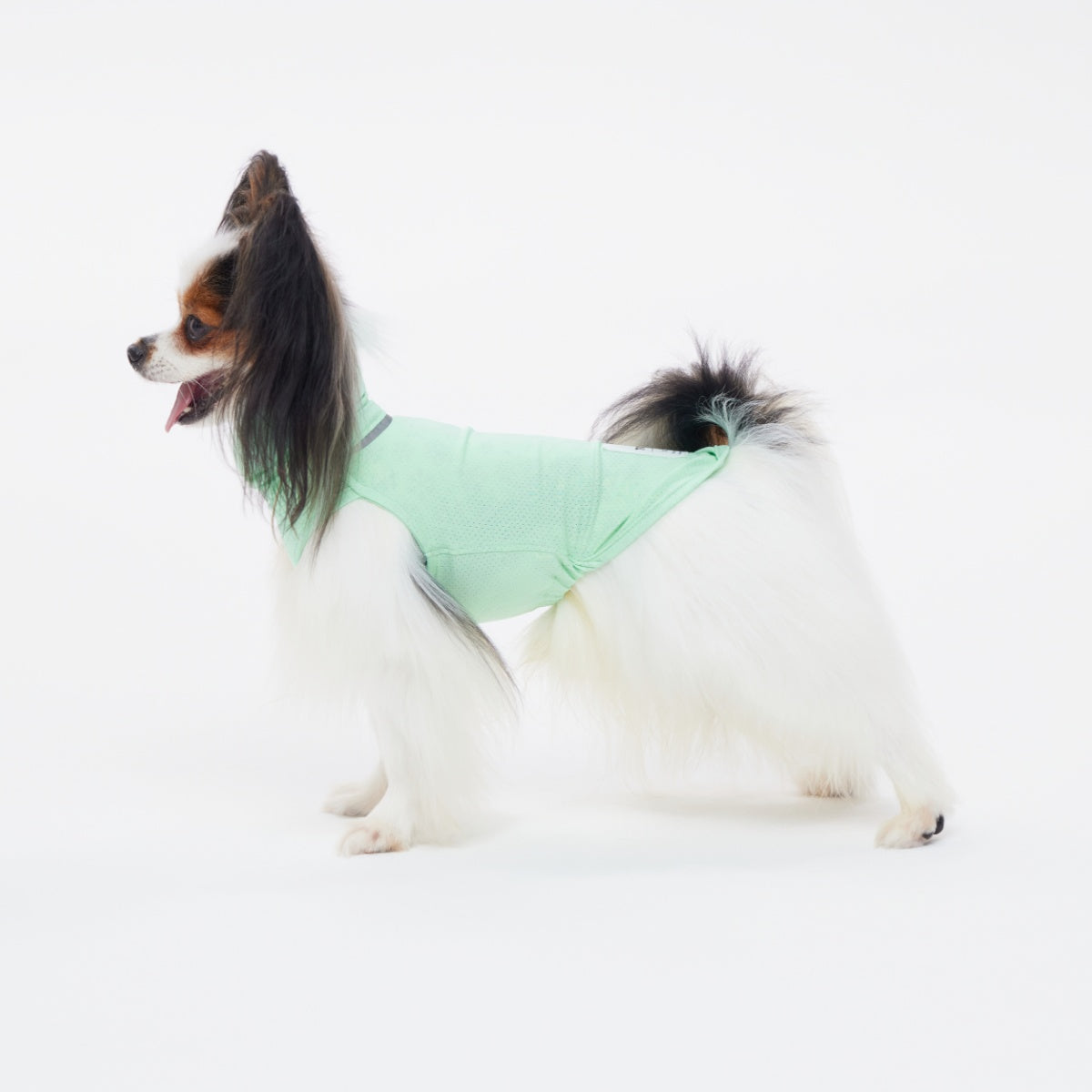 【TAILHIGH テールハイ】ダブルクーリングガード Go2 Cooling Guard Top XXS,XSサイズ