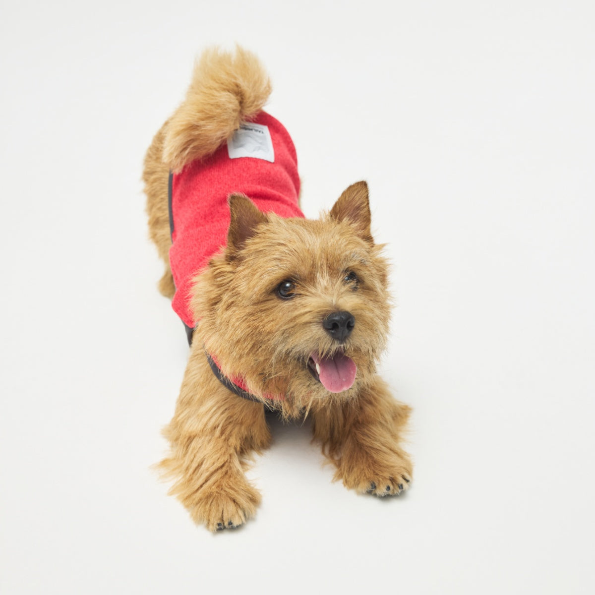 【TAILHIGH テールハイ】フリースヒータートップ Go2 Fleece Heater Top XXS〜XLサイズ