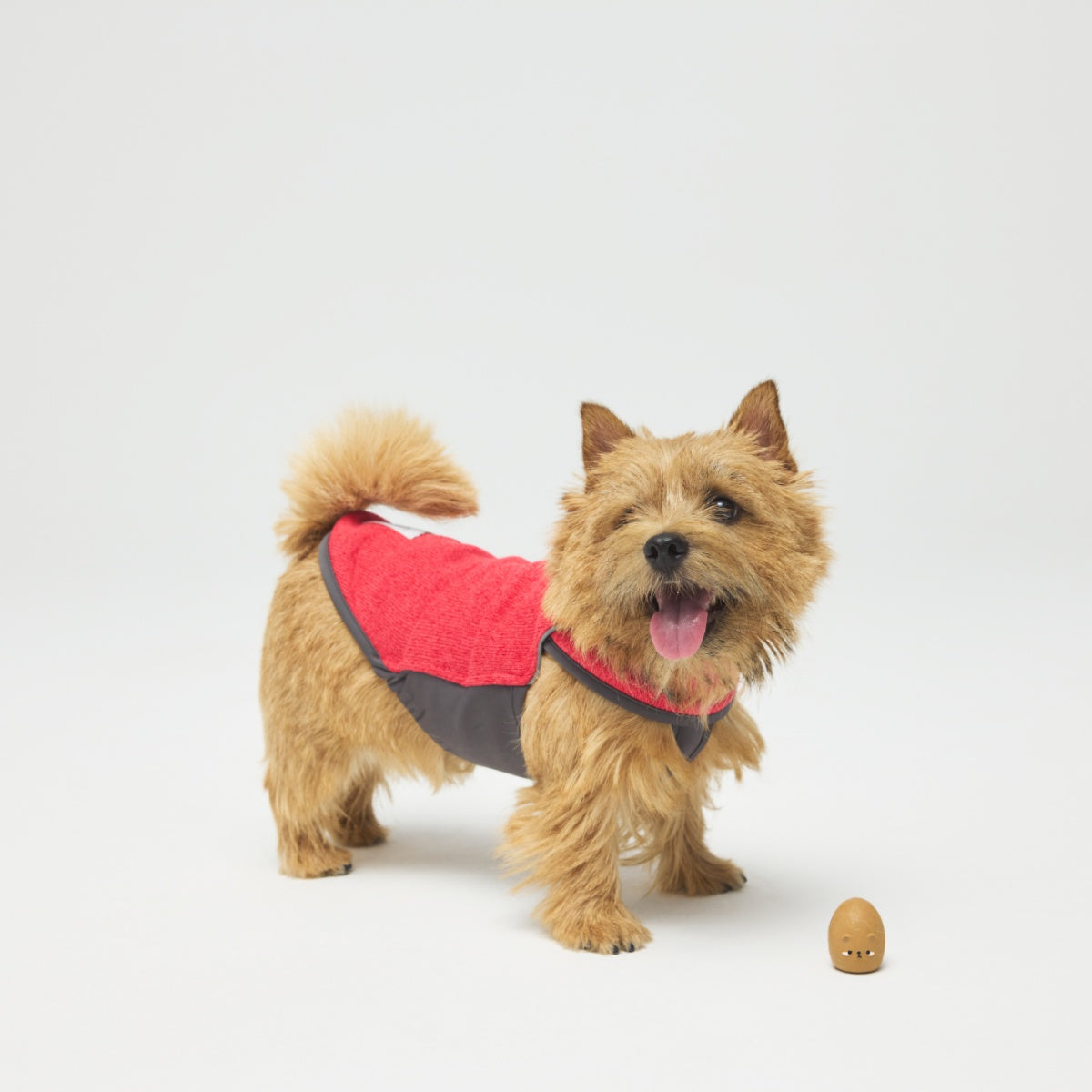 【TAILHIGH テールハイ】フリースヒータートップ Go2 Fleece Heater Top XXS〜XLサイズ