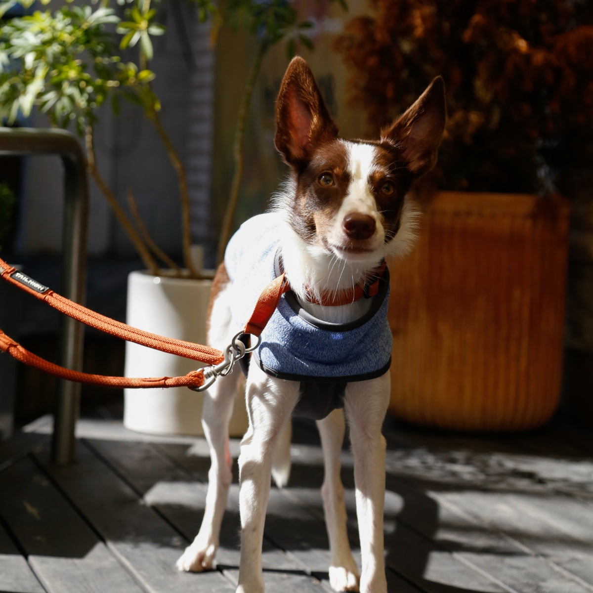 【TAILHIGH テールハイ】フリースヒータートップ Go2 Fleece Heater Top XXS〜XLサイズ