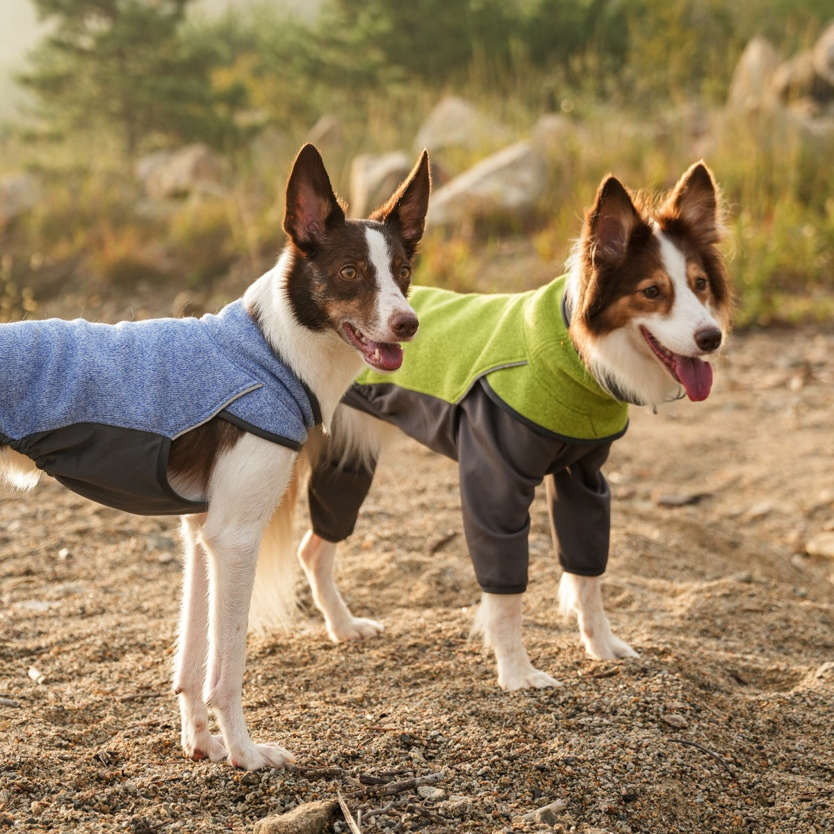 【TAILHIGH テールハイ】フリースヒータートップ Go2 Fleece Heater Top XXS〜XLサイズ