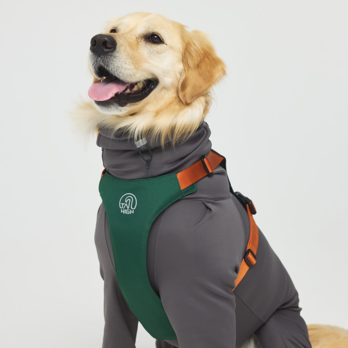 【TAILHIGH テールハイ】ヒーティングベースレイヤー Heating Active Suit XS〜XLサイズ