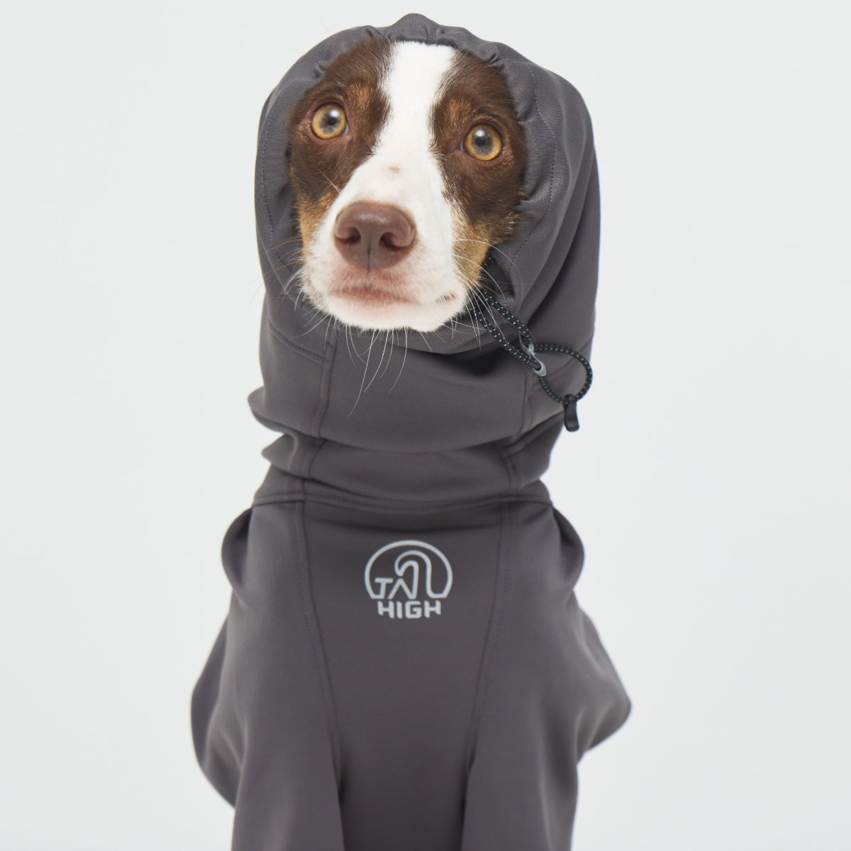 【TAILHIGH テールハイ】ヒーティングベースレイヤー Heating Active Suit XS〜XLサイズ