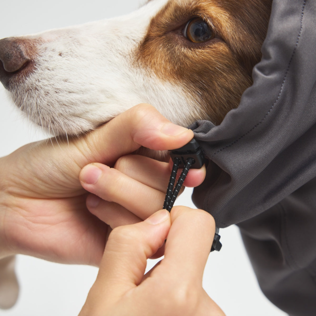 【TAILHIGH テールハイ】ヒーティングベースレイヤー Heating Active Suit XS〜XLサイズ