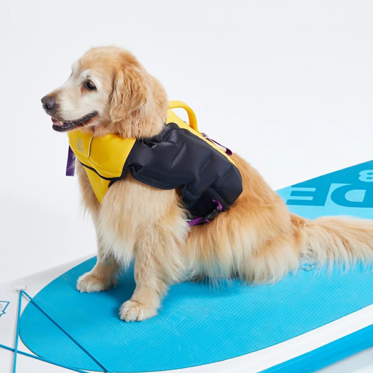 TAILHIGH テールハイ】ライフジャケット Inflatable Wetsuit Lサイズ