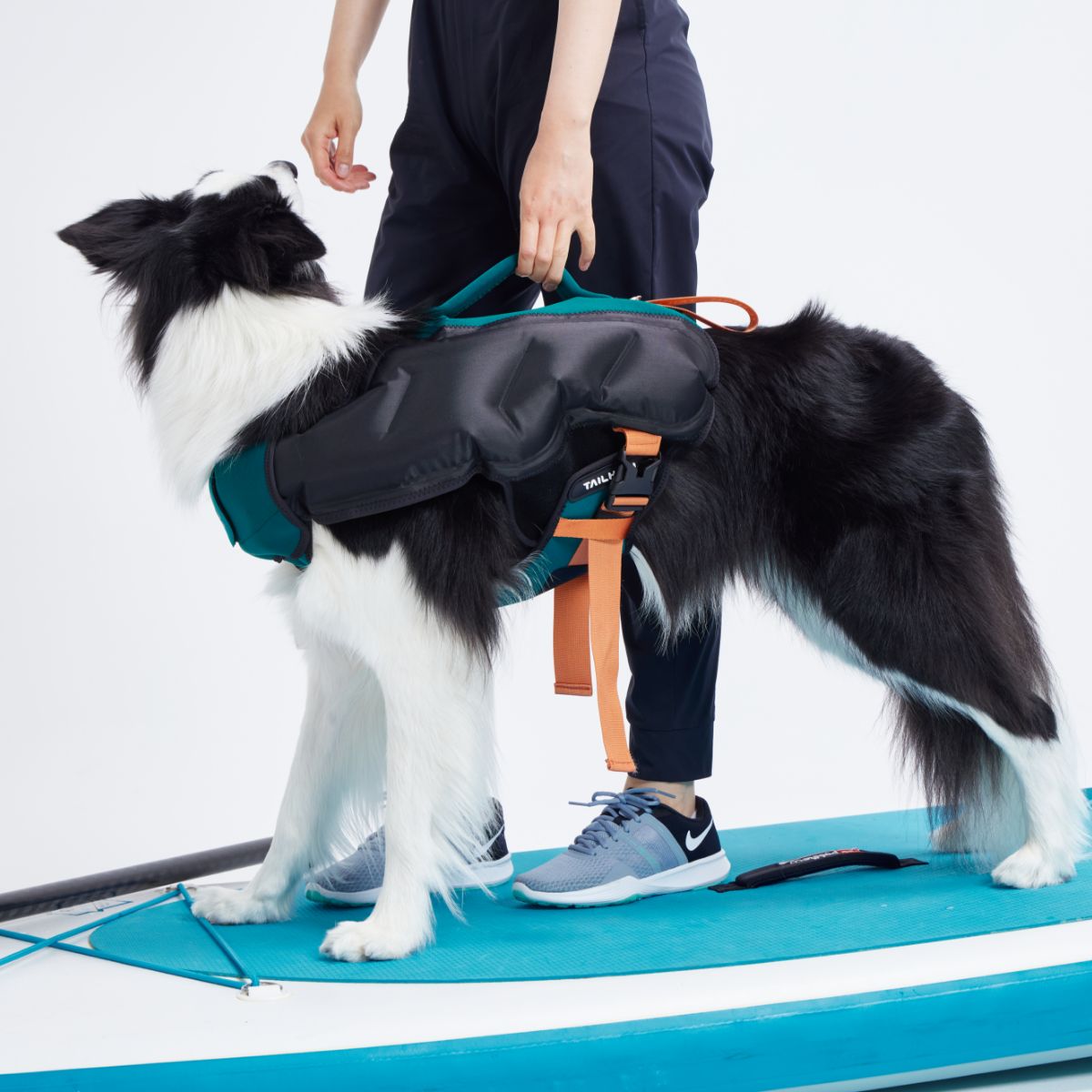 TAILHIGH テールハイ】ライフジャケット Inflatable Wetsuit Mサイズ