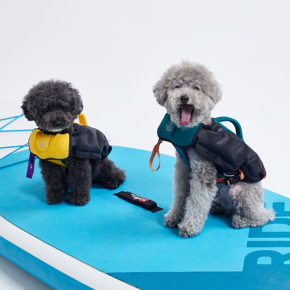 【TAILHIGH テールハイ】ライフジャケット Inflatable Wetsuit XSサイズ