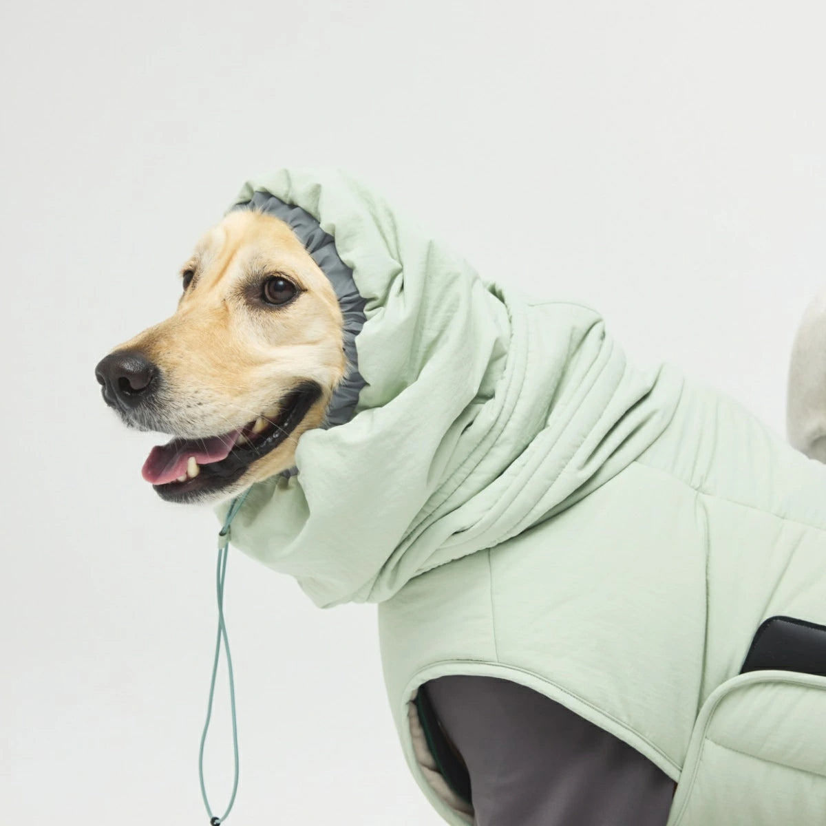 【TAILHIGH テールハイ】ウィンタージャケット 2.0 エクストリーム Down Jumper XS～Lサイズ