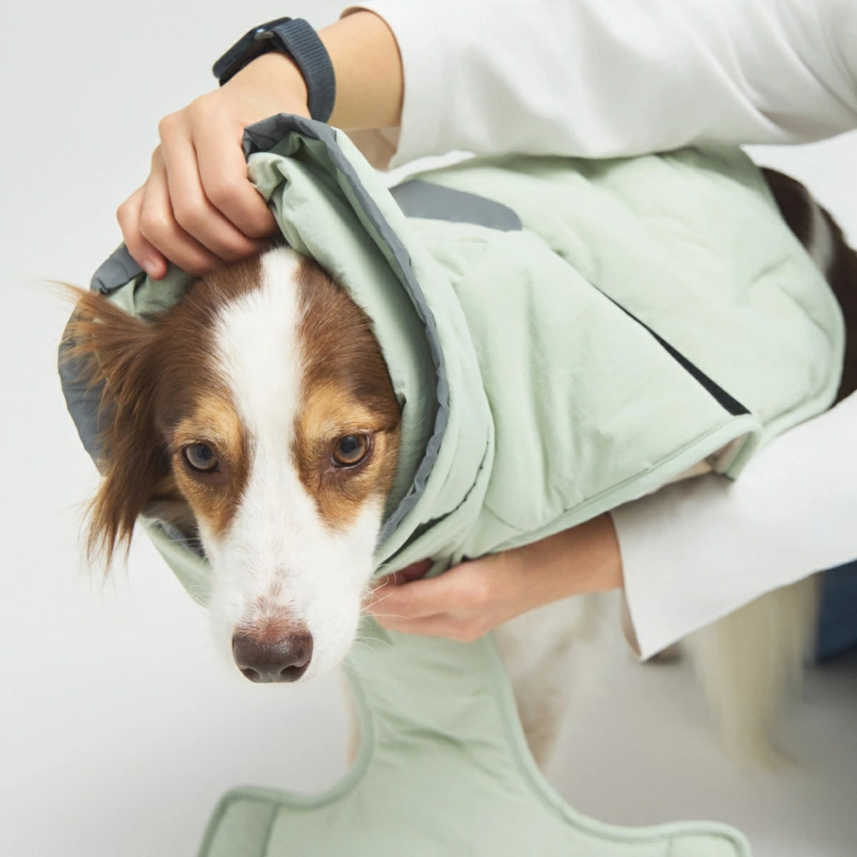 【TAILHIGH テールハイ】ウィンタージャケット 2.0 エクストリーム Down Jumper XS～Lサイズ