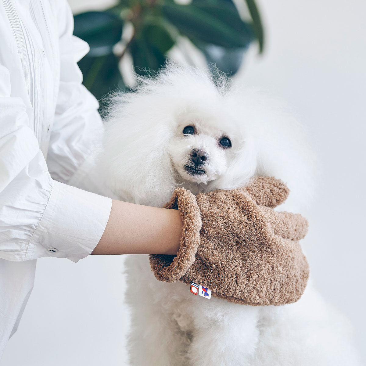 【HARTWELLDOG ハートウエルドッグ】肌にやさしいタオルミトン