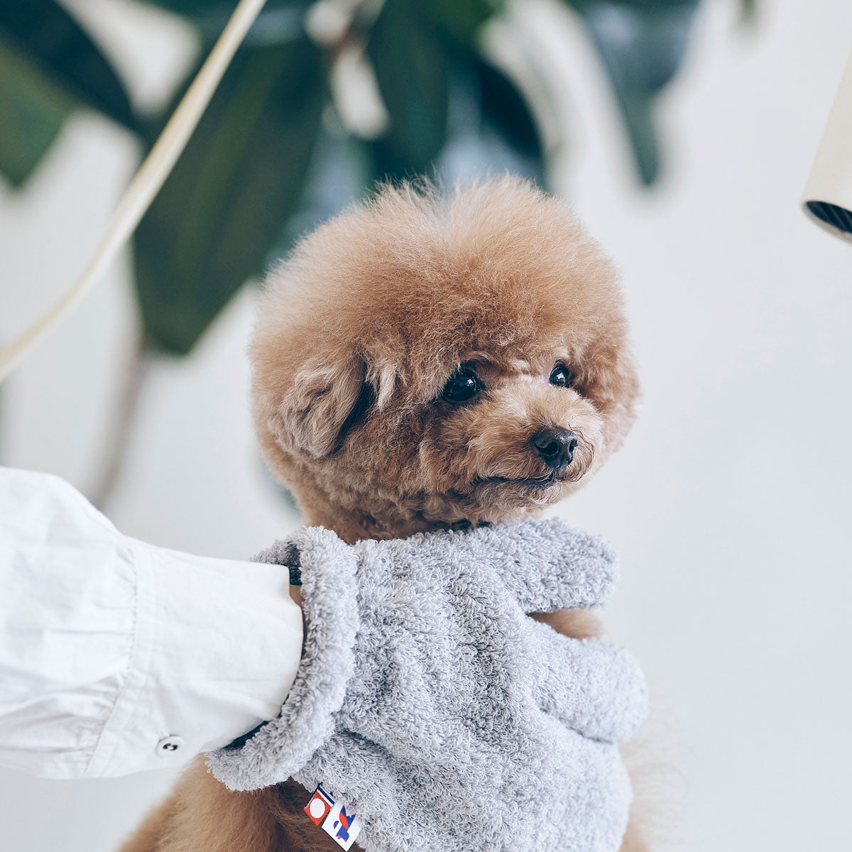 【HARTWELLDOG ハートウエルドッグ】肌にやさしいタオルミトン