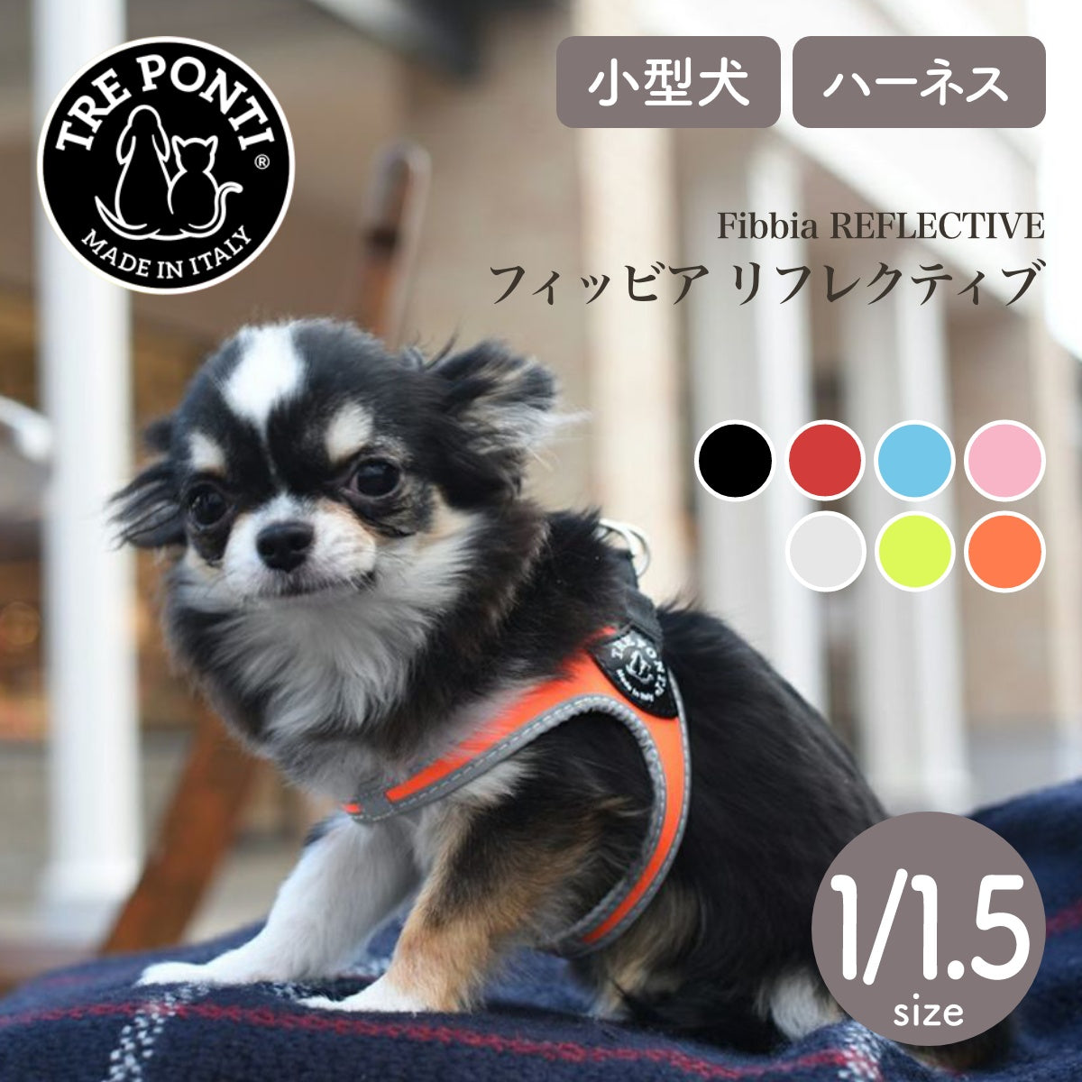 【トレポンティ Tre Ponti】フィッビア Fibbia サイズ1 / サイズ1.5
