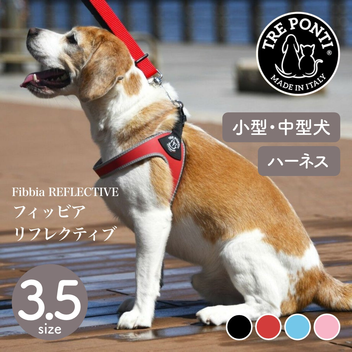 【トレポンティ Tre Ponti】フィッビア リフレクティブ Fibbia REFLECTIVE サイズ3.5