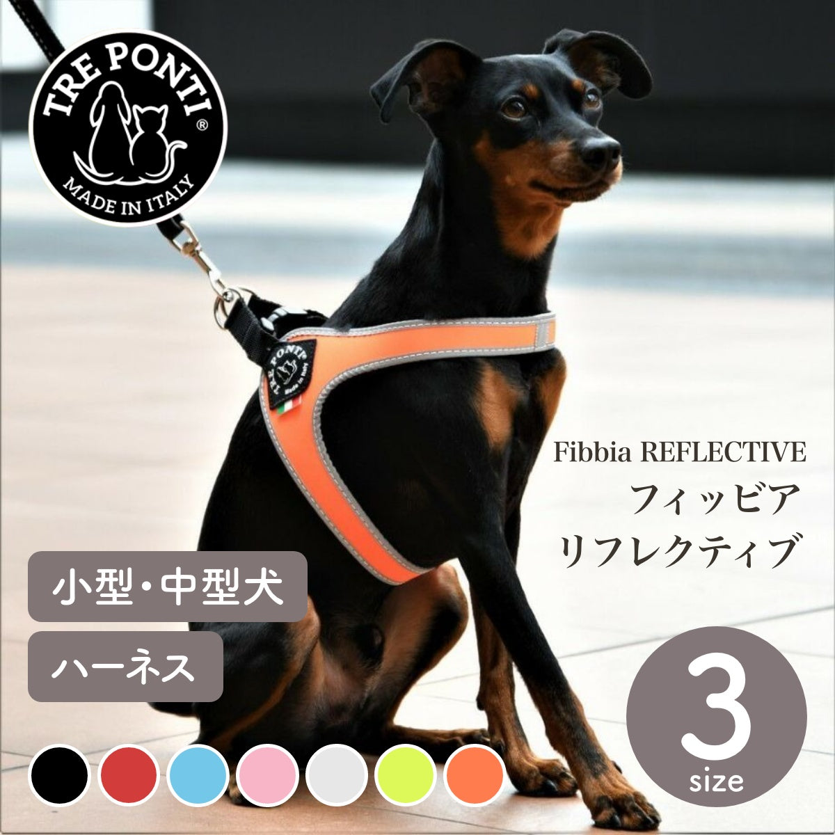 【トレポンティ Tre Ponti】フィッビア Fibbia サイズ3