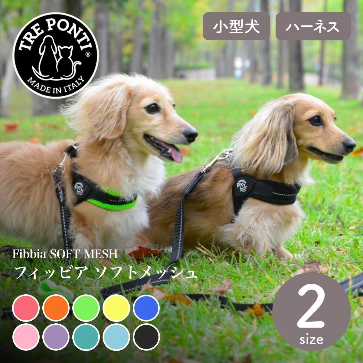 【トレポンティ Tre Ponti】フィッビア ソフトメッシュ Fibbia Soft Mesh Size2 サイズ2
