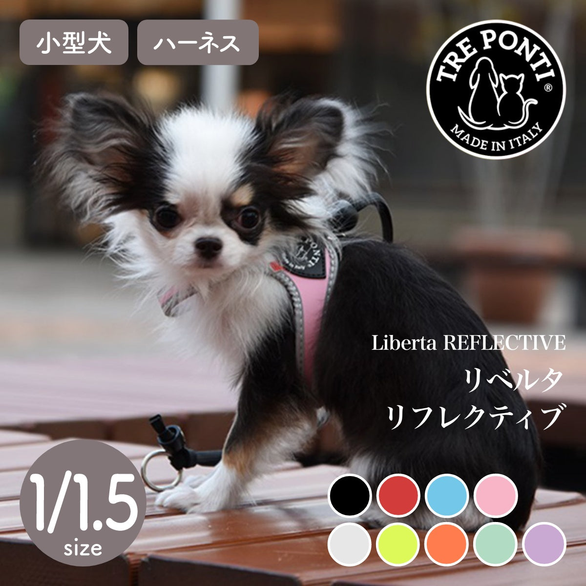 【トレポンティ Tre Ponti】リベルタ Liberta サイズ1 / 1.5