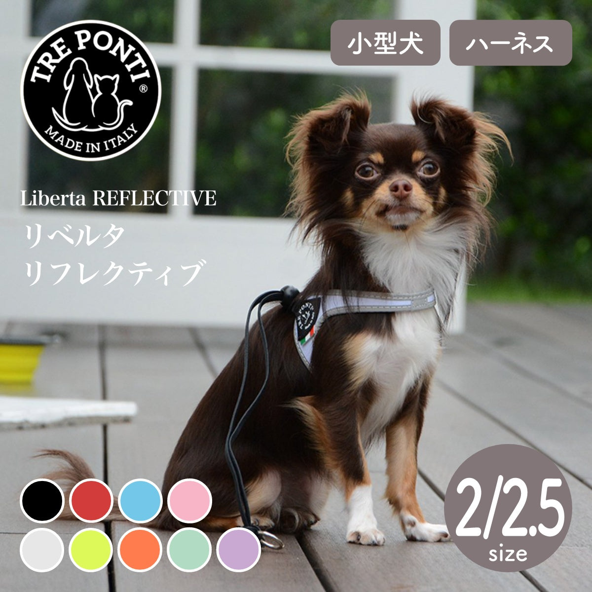 【トレポンティ Tre Ponti】リベルタ Liberta サイズ2 / 2.5