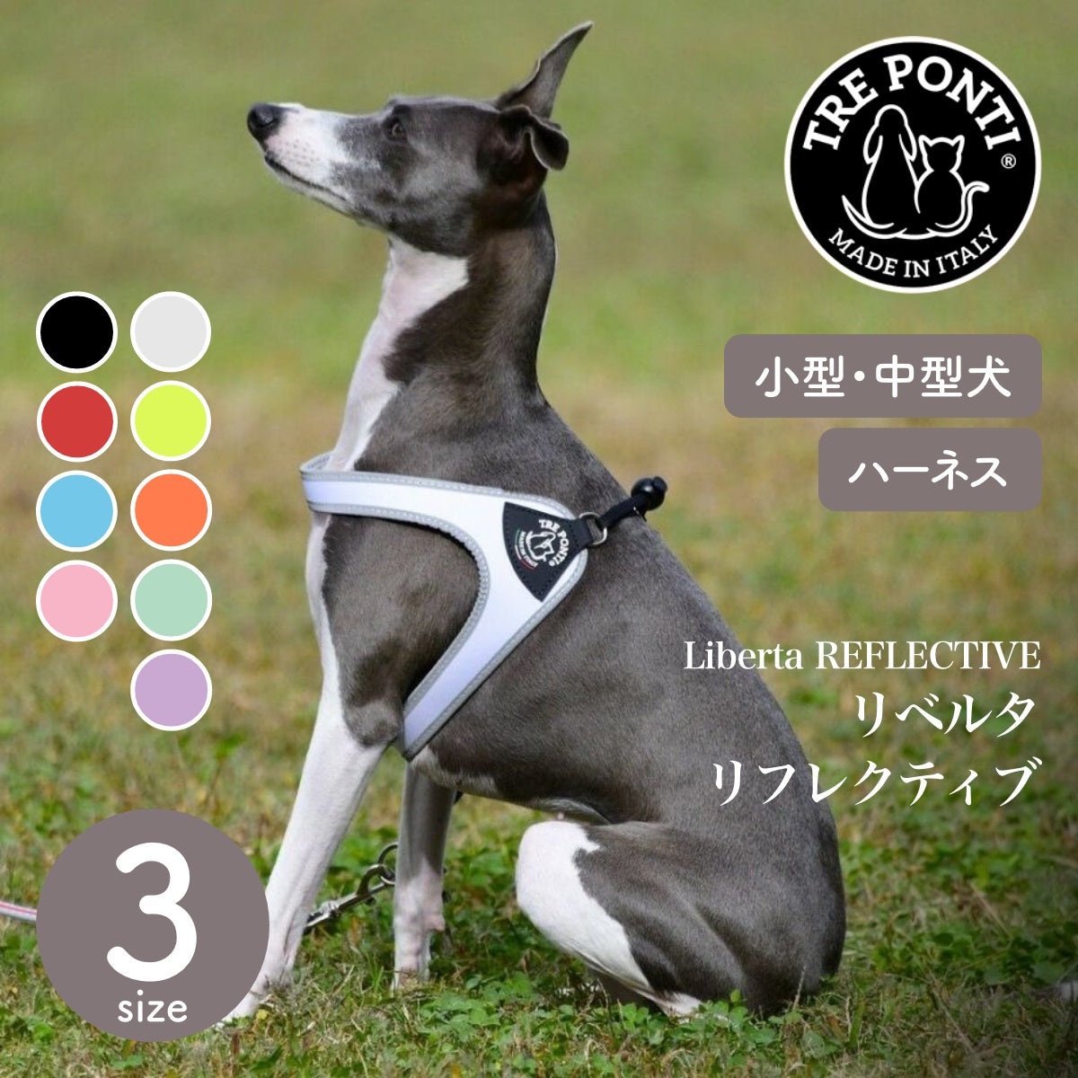 【トレポンティ Tre Ponti】リベルタ Liberta サイズ3