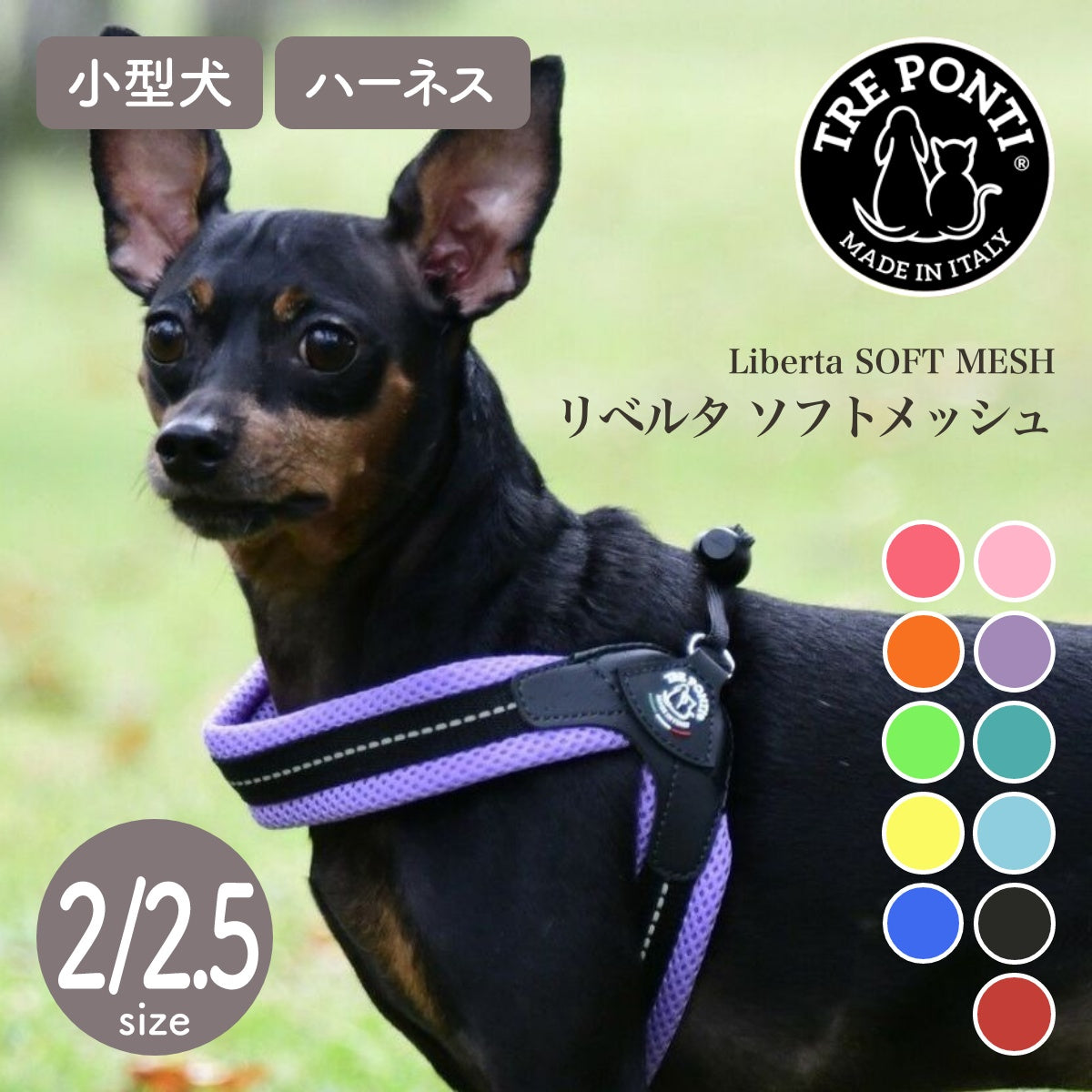 【トレポンティ Tre Ponti】リベルタ ソフトメッシュ Liberta Soft Mesh  サイズ2 / サイズ2.5