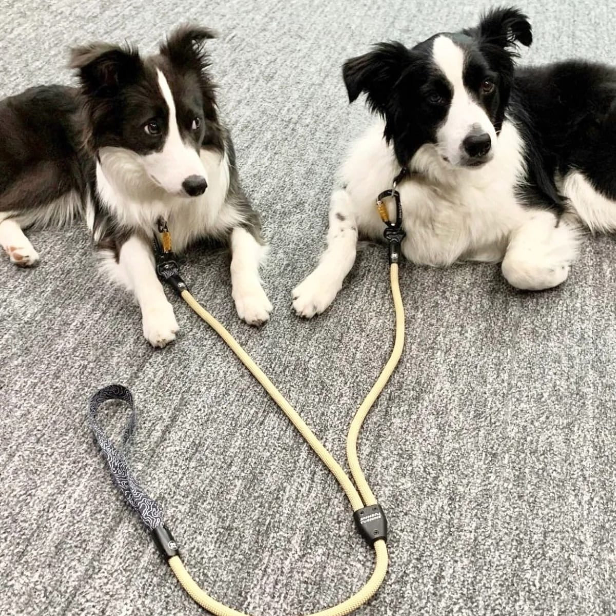 【TUENNE トゥエヌ】2-in-1 Rope Dog Leash 2頭引ロープリード 犬用 リード 自動カラビナ