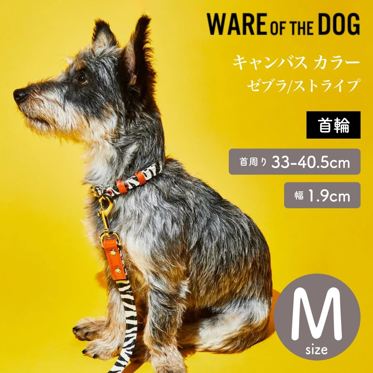 【WARE OF THE DOG ウェアオブザドッグ】キャンバス カラー ゼブラ/ストライプ Mサイズ