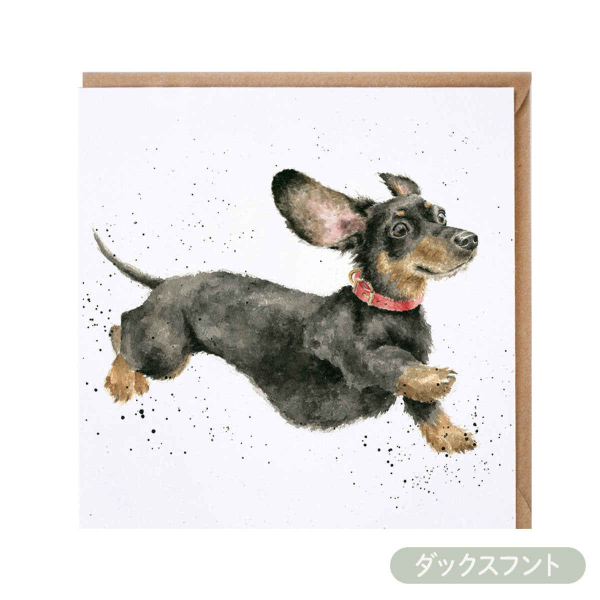 【Wrendale Designs レンデール デザイン】グリーティングカード