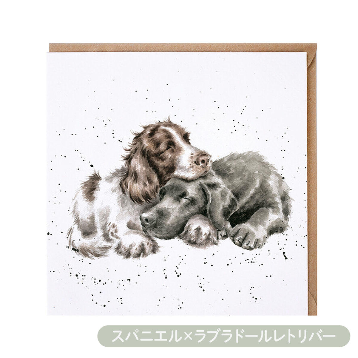 【Wrendale Designs レンデール デザイン】グリーティングカード
