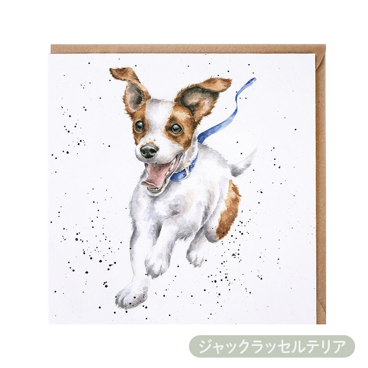 【Wrendale Designs レンデール デザイン】グリーティングカード