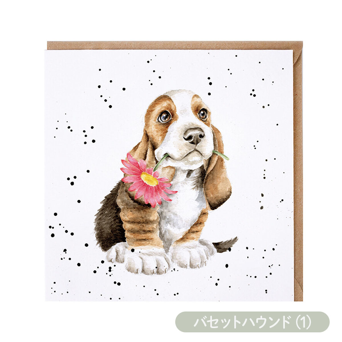 【Wrendale Designs レンデール デザイン】グリーティングカード