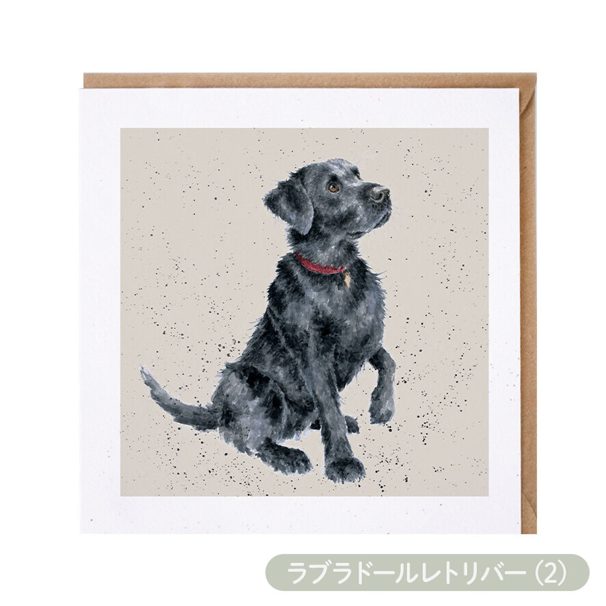 【Wrendale Designs レンデール デザイン】グリーティングカード