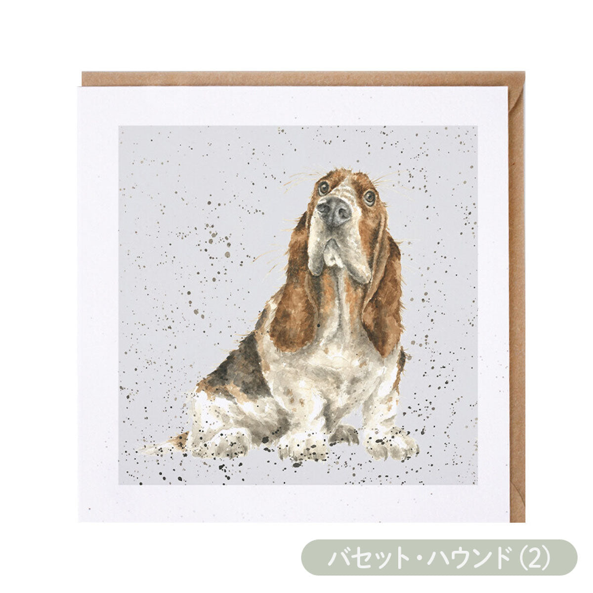 【Wrendale Designs レンデール デザイン】グリーティングカード