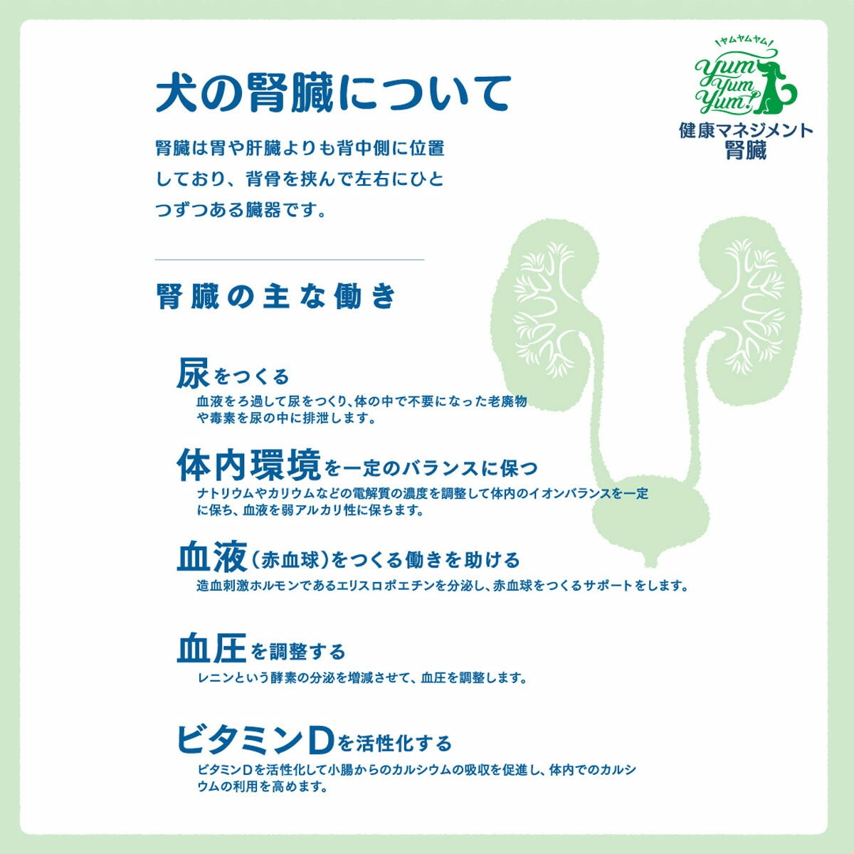 【ヤムヤムヤム! yum yum yum! 】犬用フード 健康マネジメント腎臓 チキン ドライタイプ 超小粒タイプ ちょこっとパック 50g