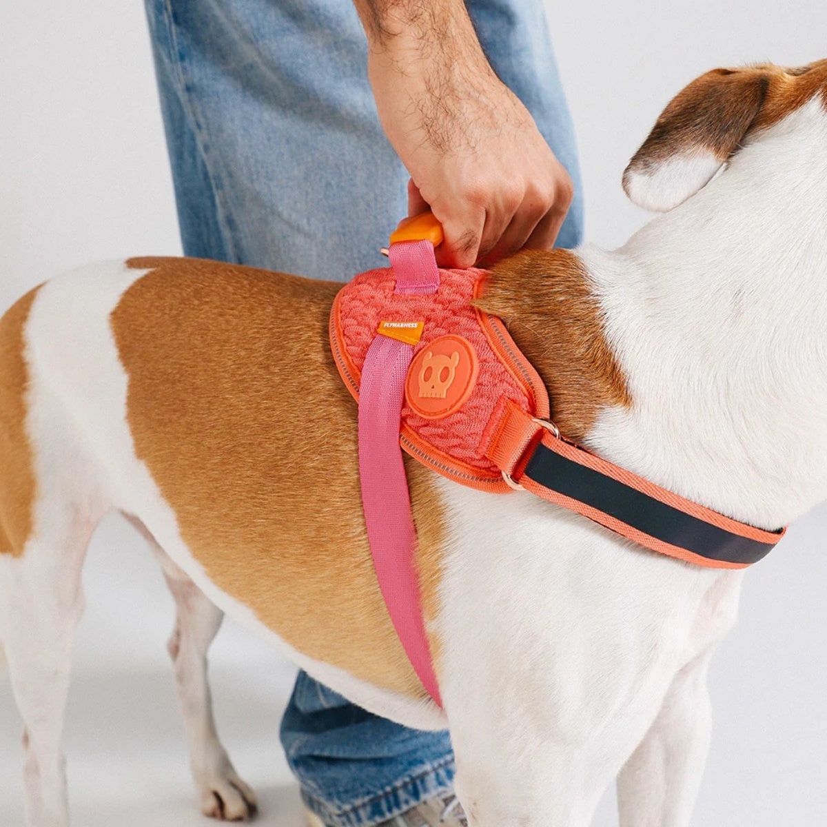 【zee.dog ジードッグ】FLY HARNESS ガゼル フライハーネス XS S M L XLサイズ