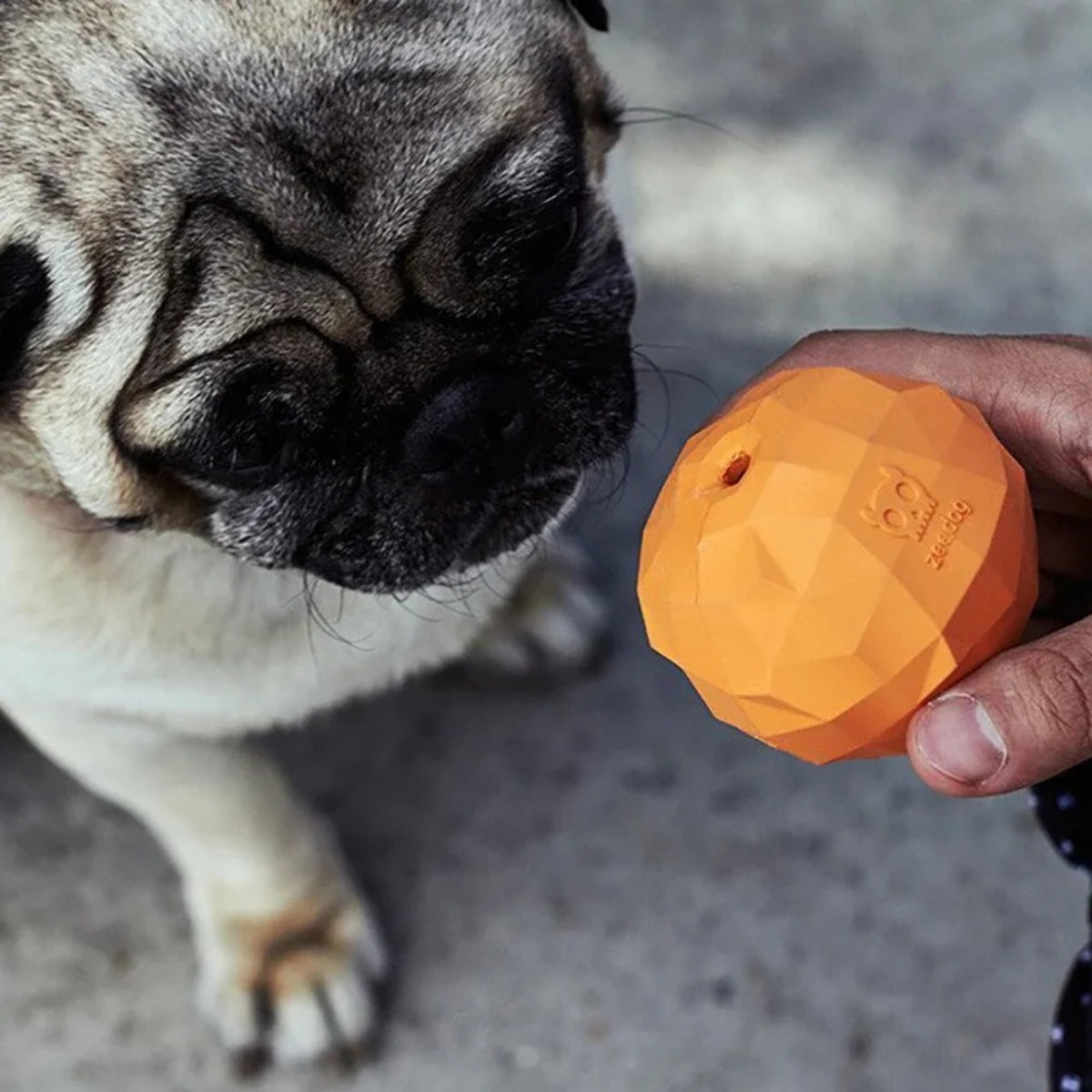 【zee.dog ジードッグ】SUPER FRUITZ スーパーフルーツ ペット用知育玩具