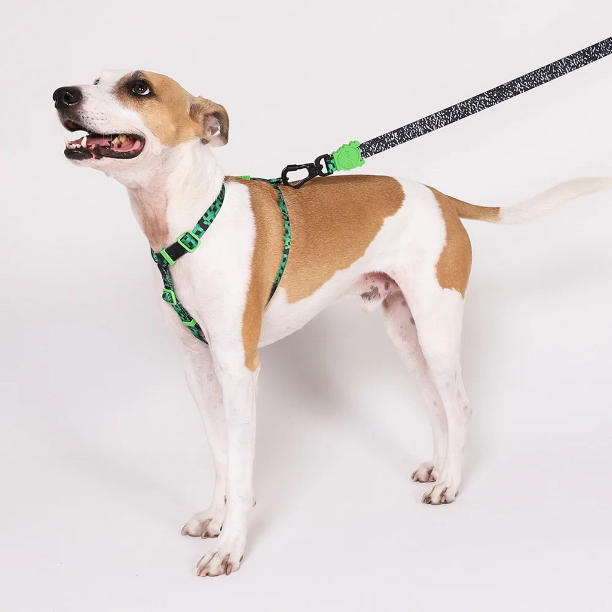 【zee.dog ジードッグ】H-HARNESS グリッチエラー #410 Hハーネス XS S M Lサイズ