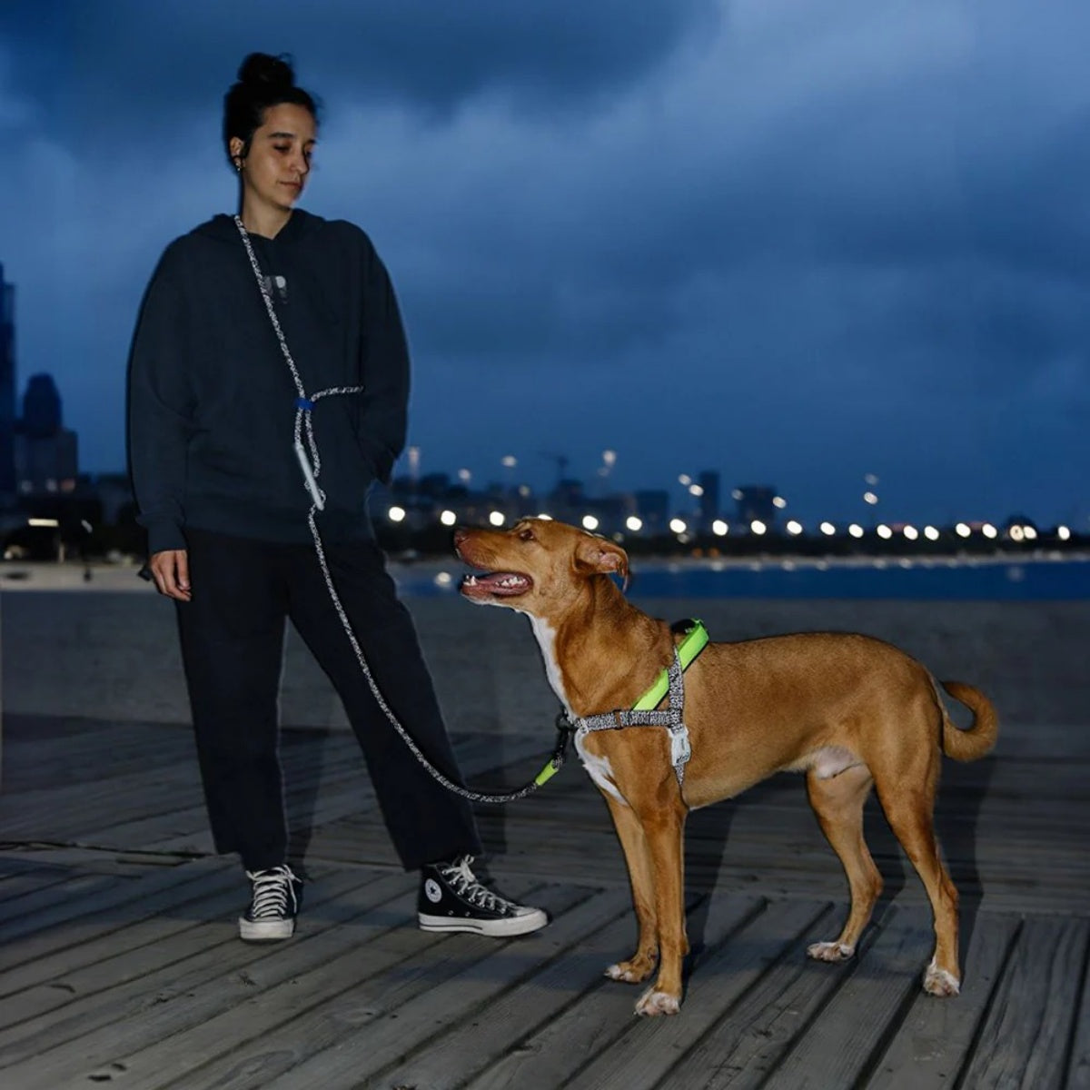 【zee.dog ジードッグ】HANDS-FREE LEASH ノックス ハンズフリーリーシュ