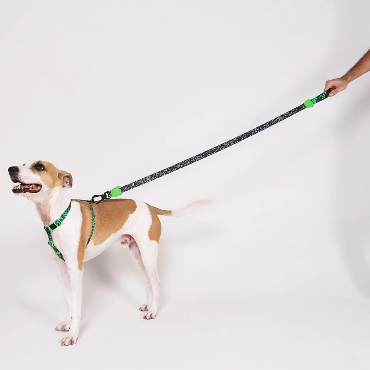 【zee.dog ジードッグ】LEASH グリッチ エラー#410 リード