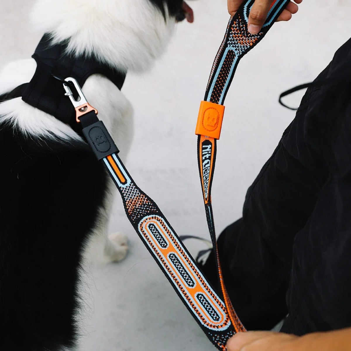 【zee.dog ジードッグ】NIT LEASH クロン ニットリーシュ