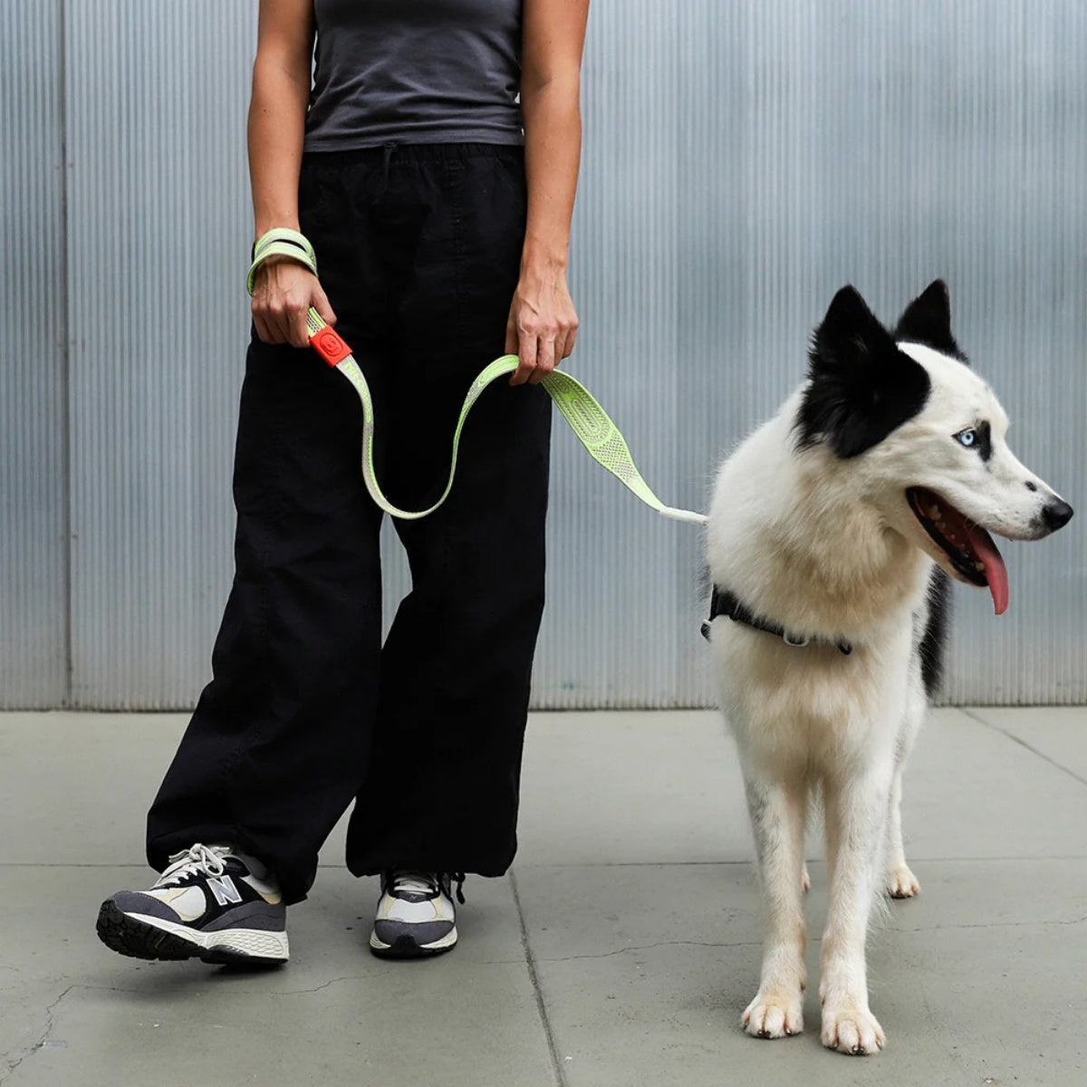 【zee.dog ジードッグ】NIT LEASH グルテン ニットリーシュ