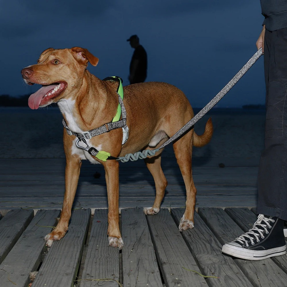 【zee.dog ジードッグ】RUFF LEASH NOX ノックス ラフリード