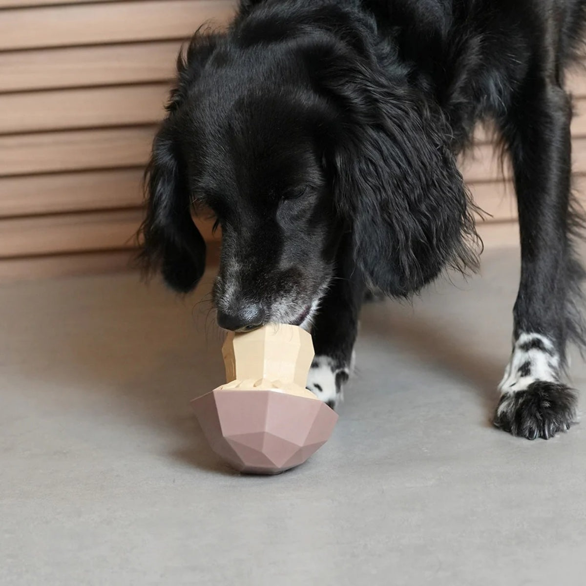 【zee.dog ジードッグ】SUPER VEGGIEZ スーパーべジーズ ペット用知育玩具