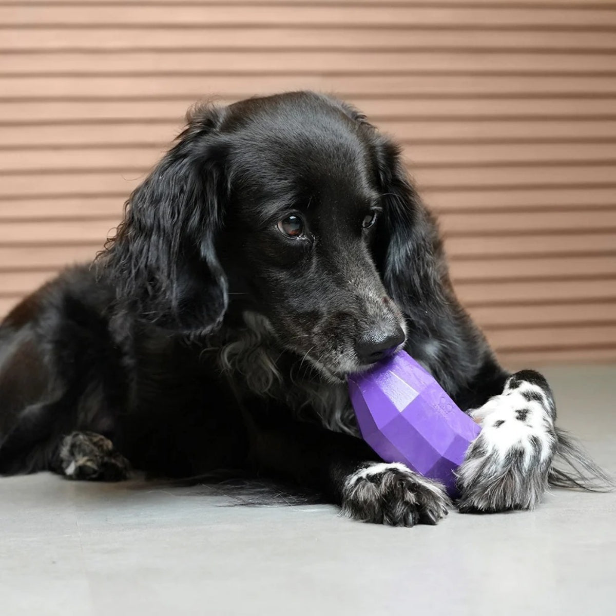 【zee.dog ジードッグ】SUPER VEGGIEZ スーパーべジーズ ペット用知育玩具